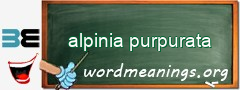 WordMeaning blackboard for alpinia purpurata